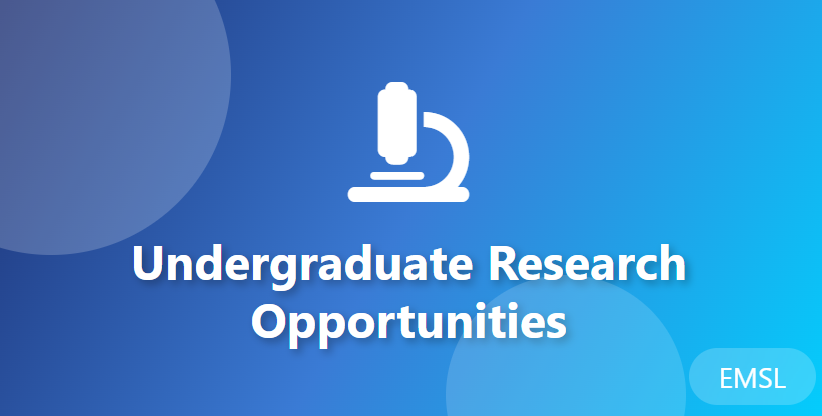Undergraduate Research Opportunity